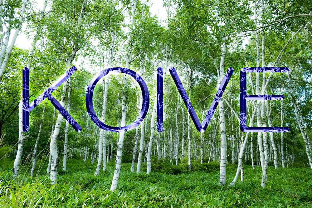 KOIVE