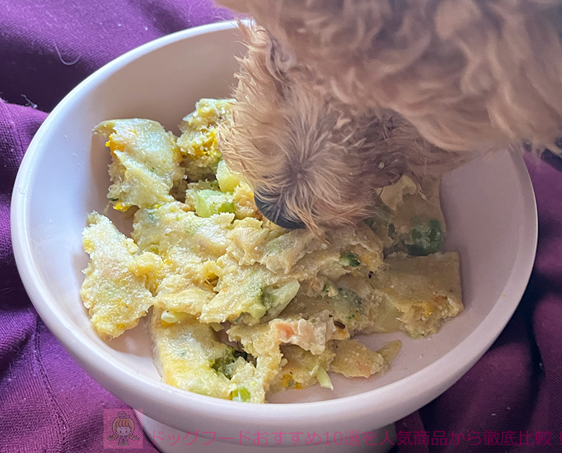 ココグルメのフィッシュ&パンプキンを愛犬が食べているところ。