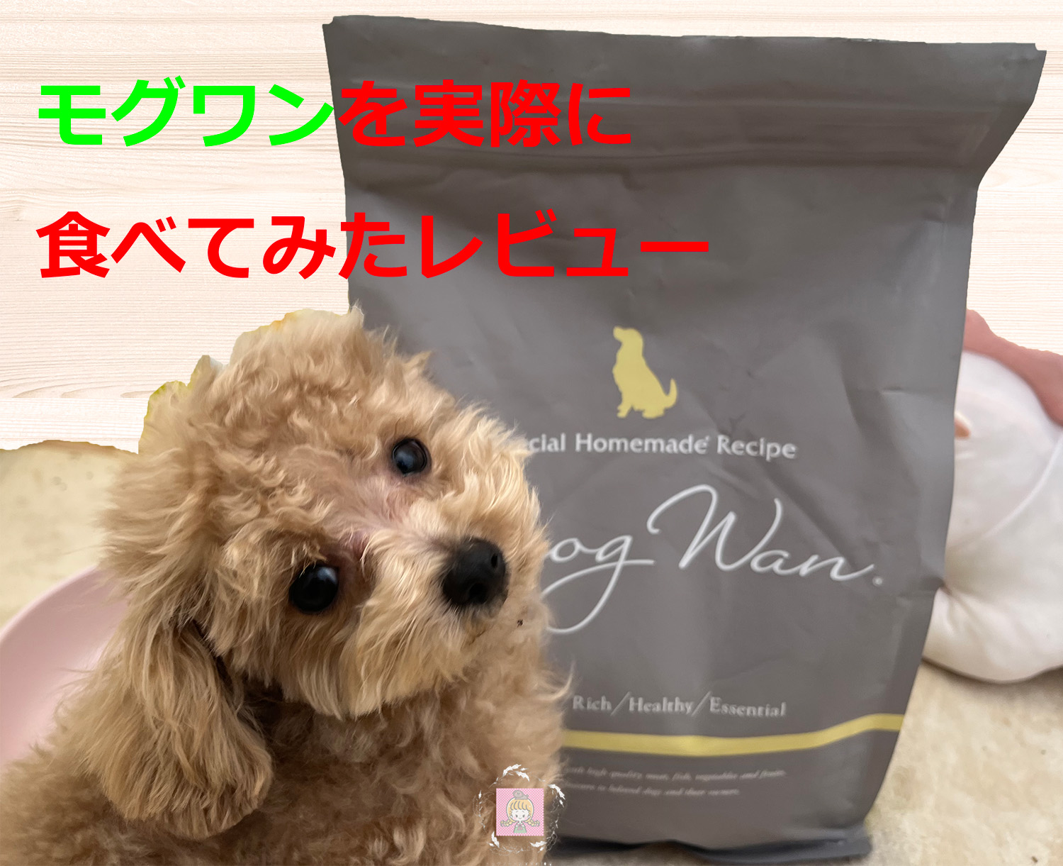 モグワンを実際に食べてみたレビュー
