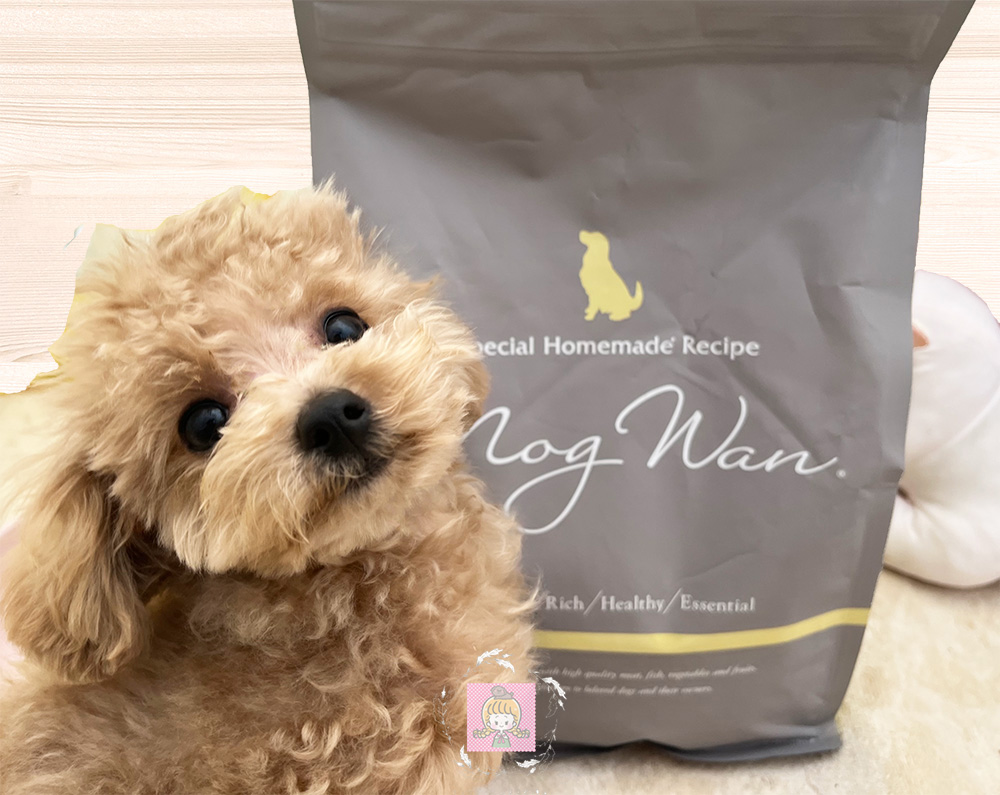 モグワンドッグフードと一緒に写る犬