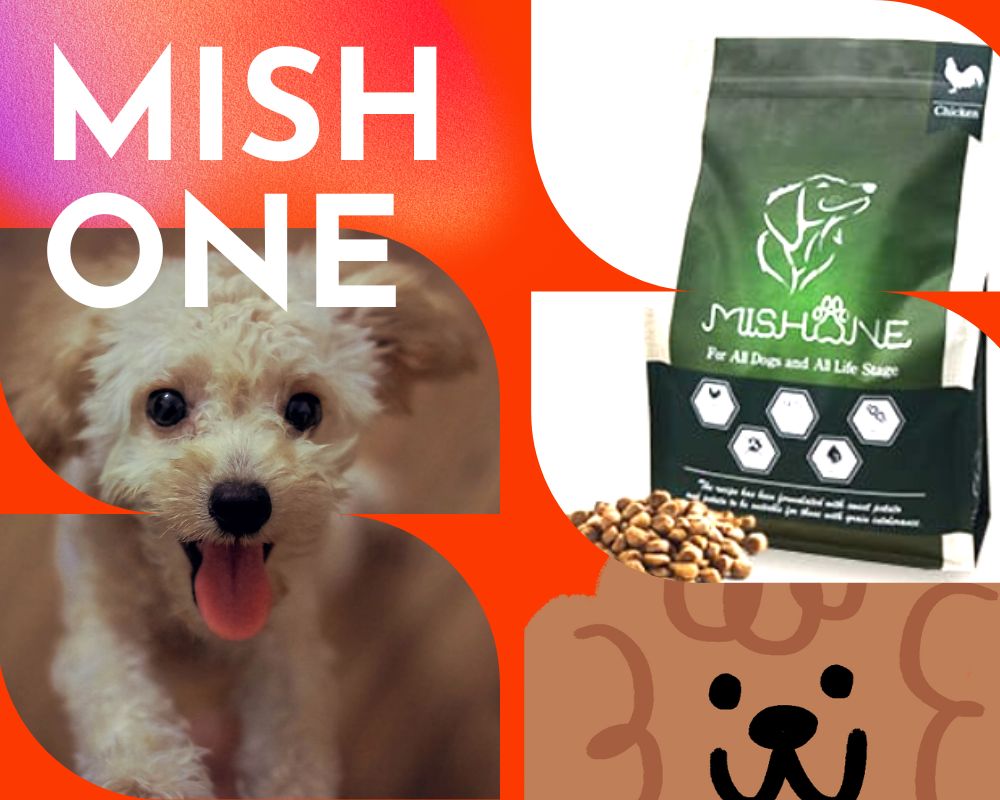 MISHONE