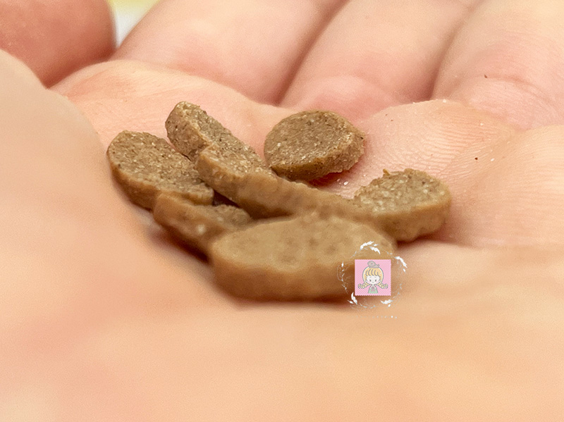 ミシュワン小型犬用の粒を手に乗せてみたところ。側面