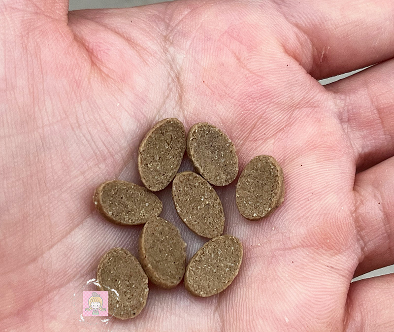 ミシュワン小型犬用の粒を手に乗せてみたところ