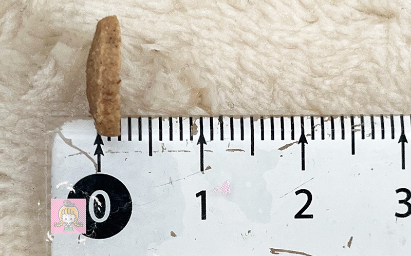 ミシュワン小型犬用の粒の厚さ