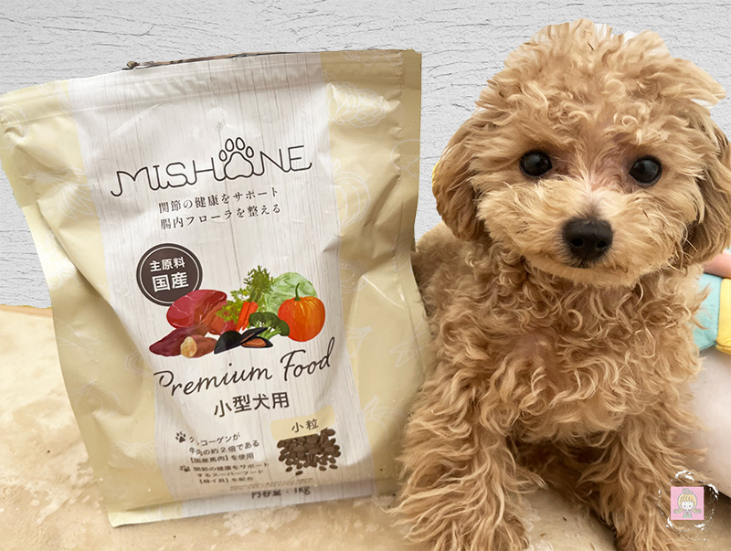 ミシュワン小型犬用とルイ