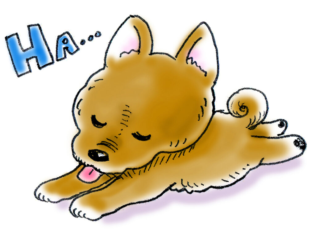疲れている犬
