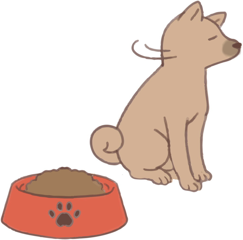 ドッグフードを食べない犬
