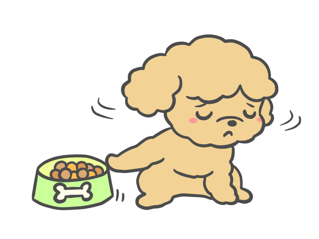 ドッグフードを拒否する犬