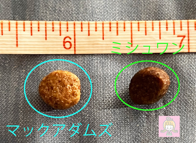 マックアダムズとみシュワンドックフードの大きさ比較