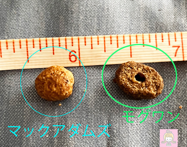 マックアダムズとモグワンドックフードの大きさ比較