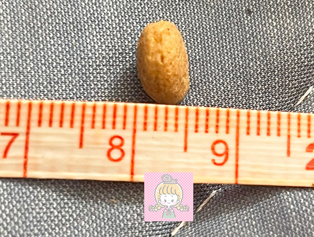 おさかなの厚みを定規で測っているところ