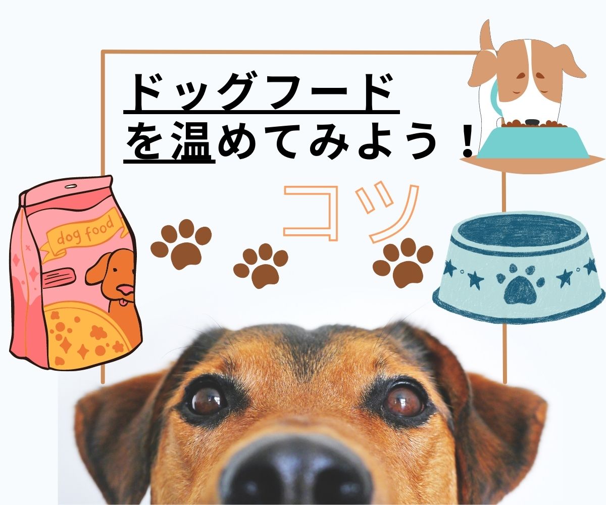 ドッグフード を温めてみよう！