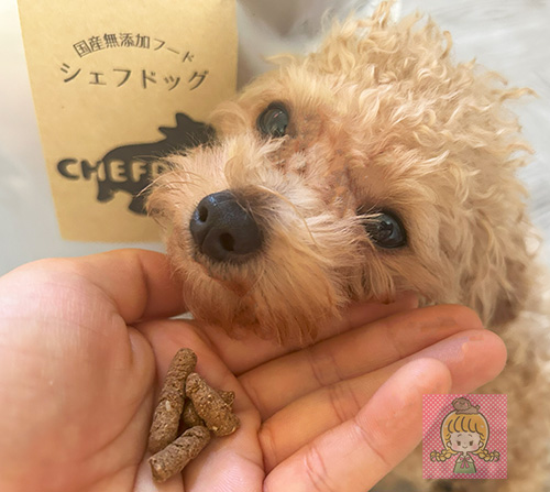シェフドッグを食べないルイ