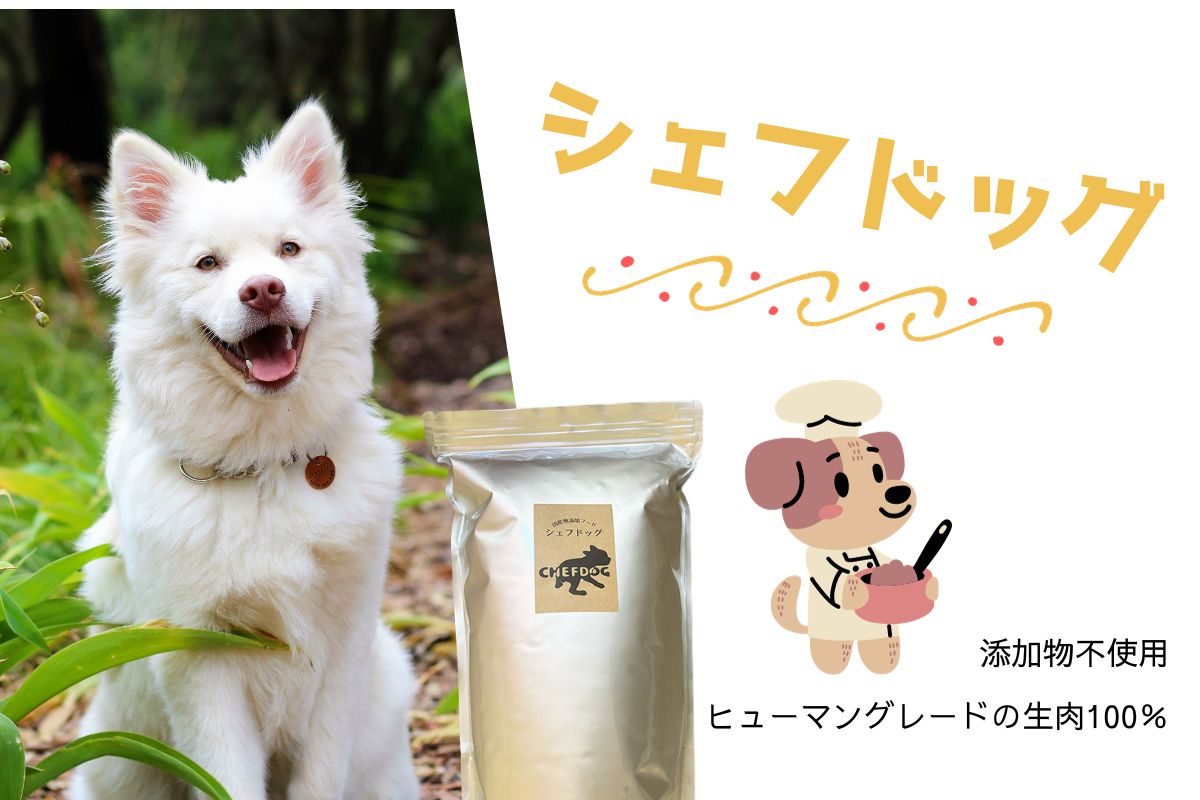 シェフドッグ
