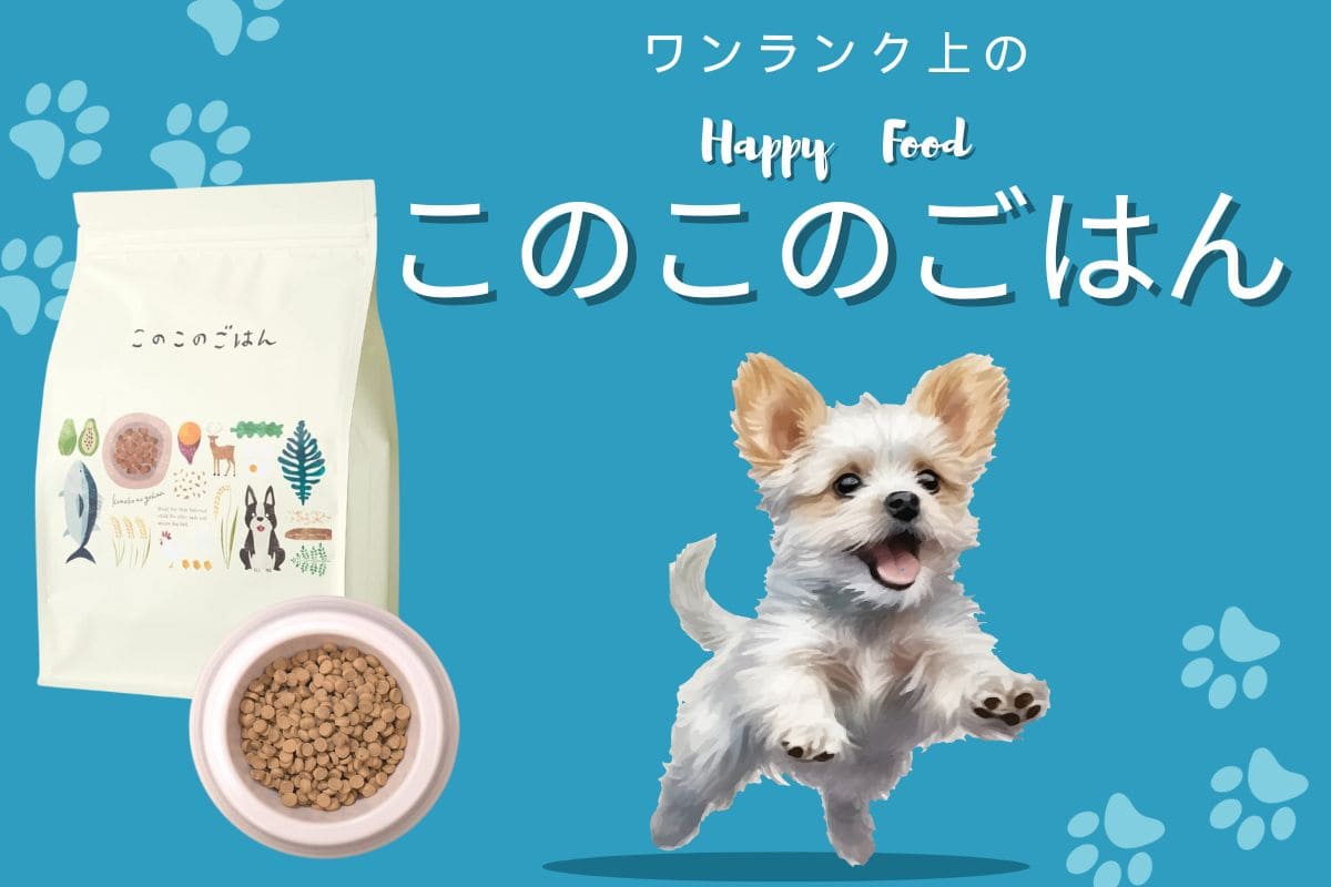 このこのごはん